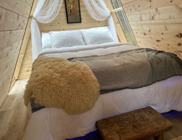 Bluestone Acres Viking Themed Accommodations in the North Thompson