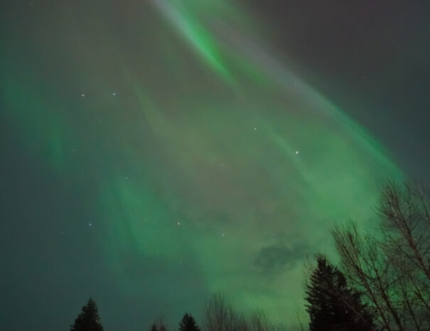 Northern Lights Photo by: herpnwadventures