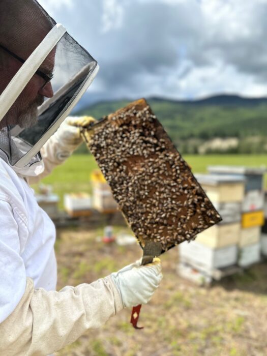 Bluestone Acres Apiary in Wells Gray Area