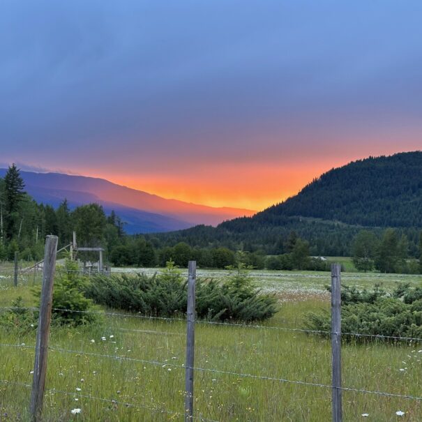 Valhalla! Bluestone Acres Scenery