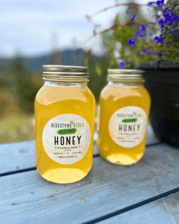 Bluestone Acres Fresh, Wild, Honey