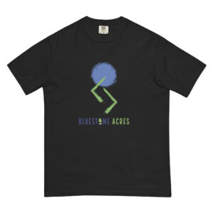 Unisex garment-dyed heavyweight t-shirt